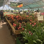 Castle Nurseries Gardening Centres Birmingham Road Studley Photo Of Castle Nurseries Studley Warwickshire United Kingdom