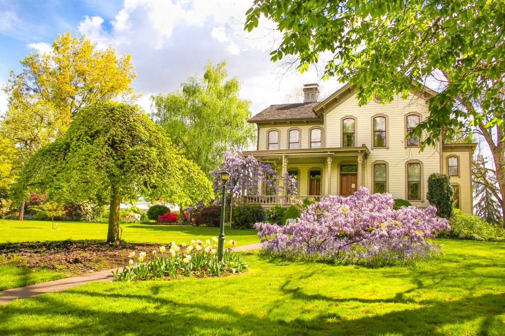 Bush’s Pasture Park 27 Photos & 19 Reviews Parks 890 Mission St