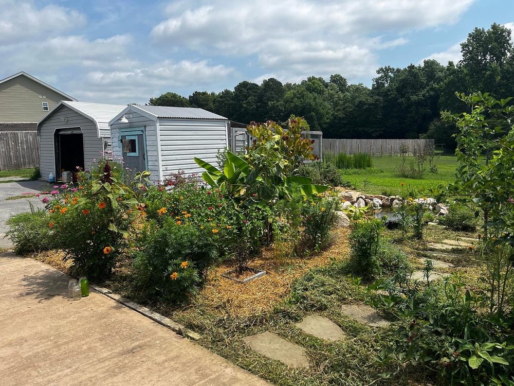 Drew’s Food Forest & Edible Landscaping