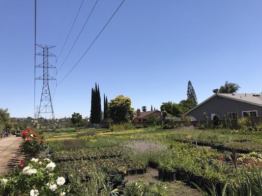 Macias Nursery 15594 Bledsoe St Sylmar Ca Nurseries Mapquest