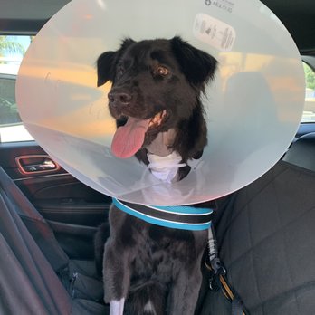 Access Woodland Hills >> Access Specialty Animal Hospital 105 Photos 477 Reviews Access Woodland Hills >> Access Specialty Animal Hospital 105 Photos 477 Reviews