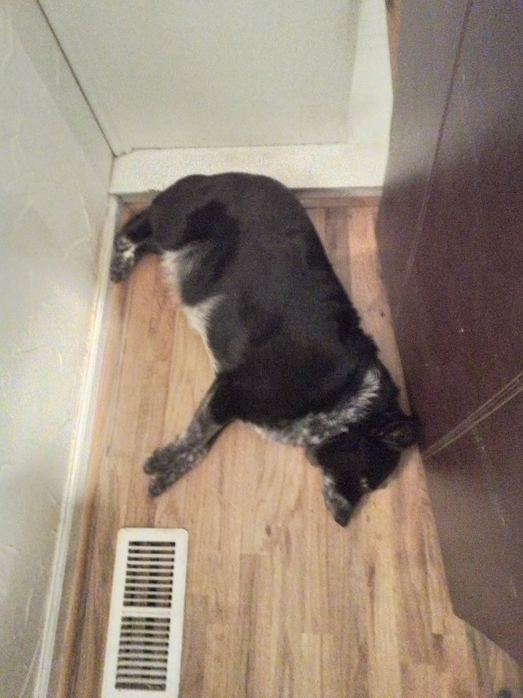 image of business Broom Heating & Air Conditioning