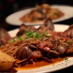 Scusa Italian Ristorante 495 Photos 823 Reviews 2543 Scusa Italian Ristorante 495 Photos 823 Reviews 2543 Lake Tahoe Blvd South Ca Restaurant Phone Number Menu Last