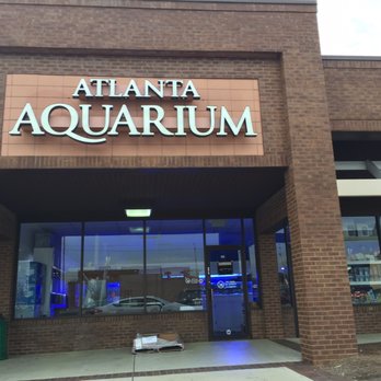 atlanta aquarium 18 photos 13 reviews pet stores atlanta aquarium 18 photos 13 reviews pet stores