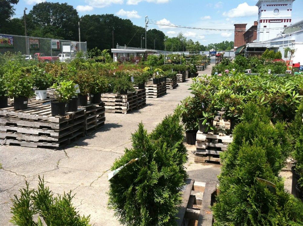 Photos for Ann & Hope Outlet Shops - Yelp