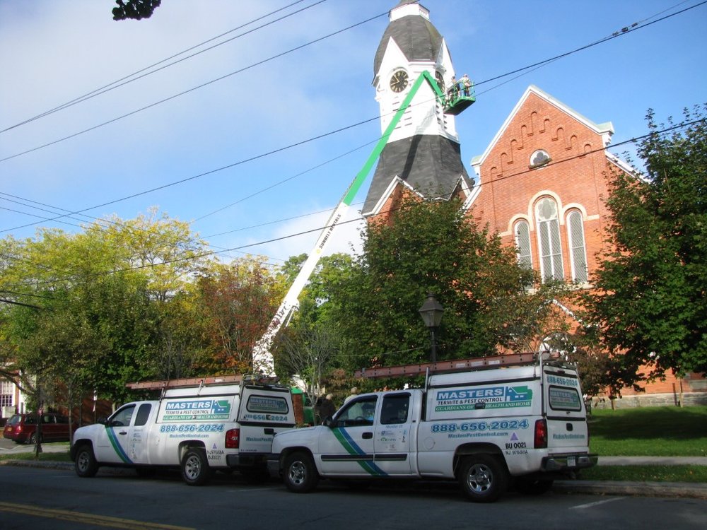 Masters Termite & Pest Control