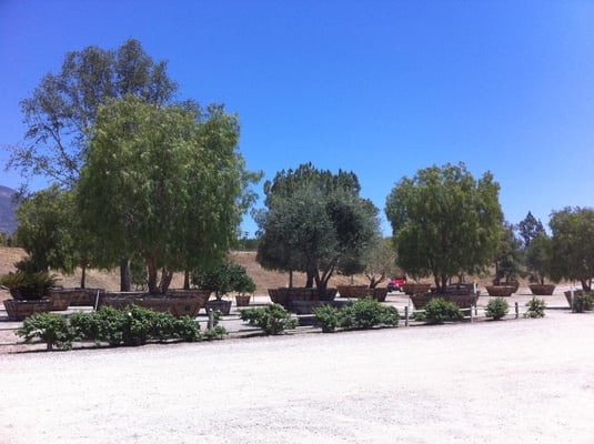 Brightview Tree Company 3200 W Telegraph Rd Fillmore Ca Landscape Brightview Tree Company 3200 W Telegraph Rd Fillmore Ca Landscape Designers Mapquest