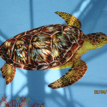 Loggerhead Marinelife Center 401 Photos 111 Reviews Community Photo Of Loggerhead Marinelife Center Juno Beach Fl United States Turtle Graphic