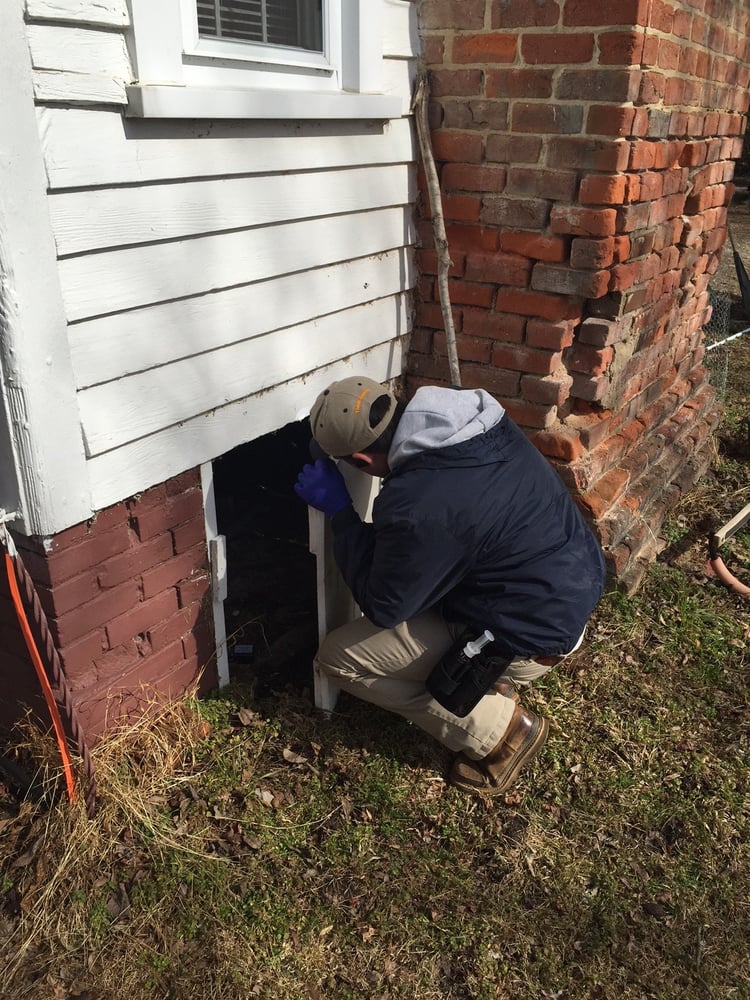 Economy Exterminators Inc