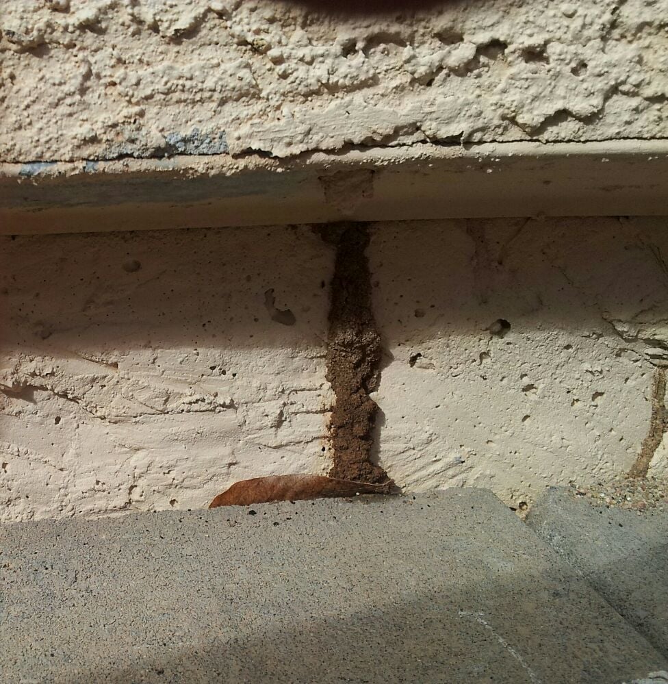 Precision Pest Control