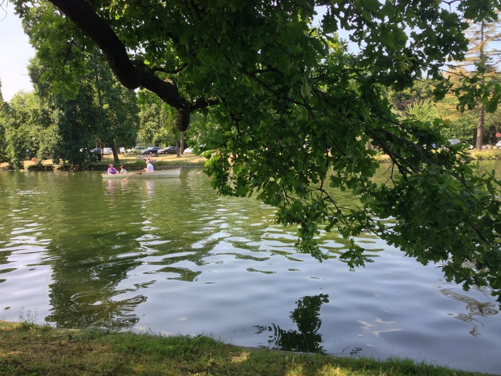 define salop salope au bois de boulogne define salop salope au bois de boulogne