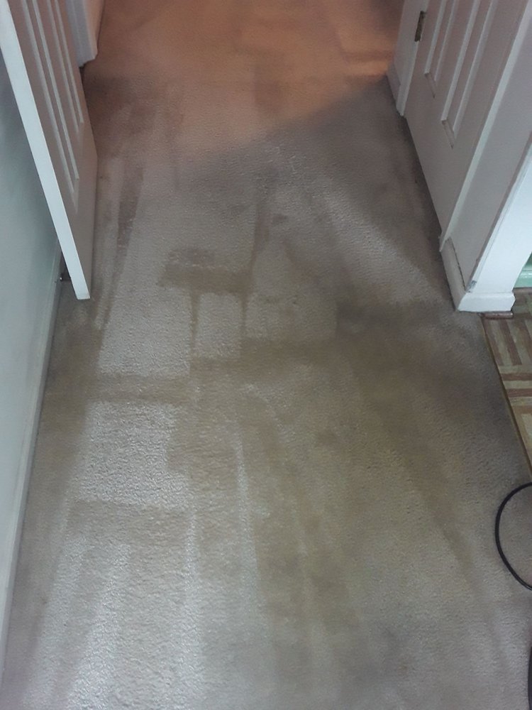 image of business Mr. Top Shelf Cleaning