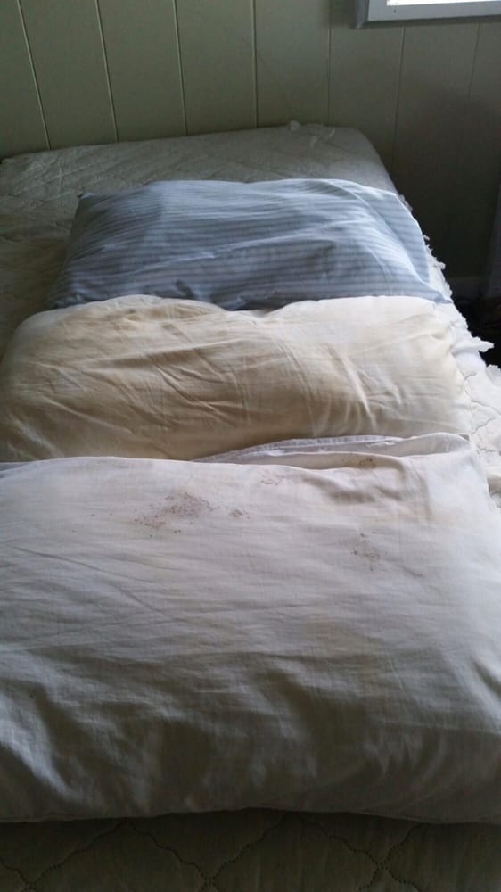 Mildew on pillow dirty Yelp
