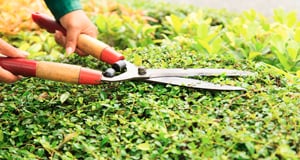 R & K Complete Landscaping Service