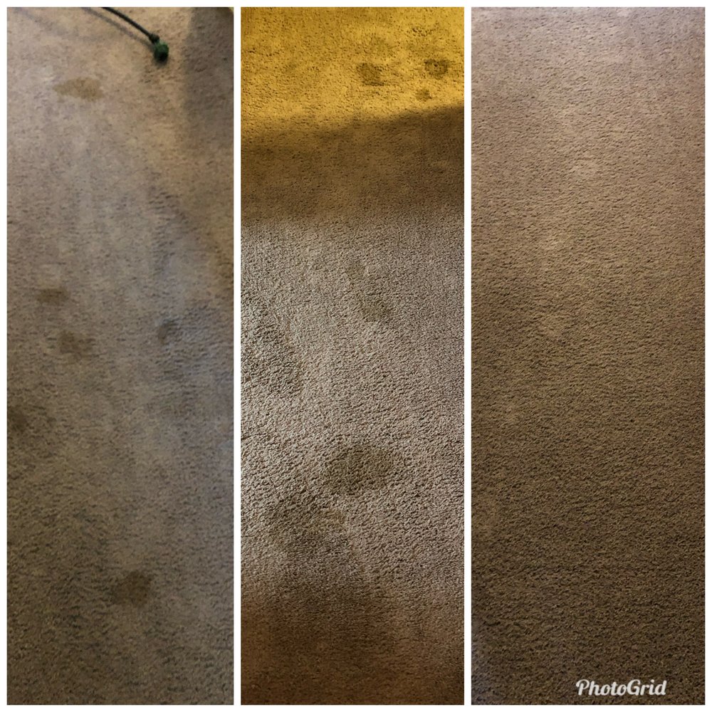GARRISON'S Quality Carpet Care