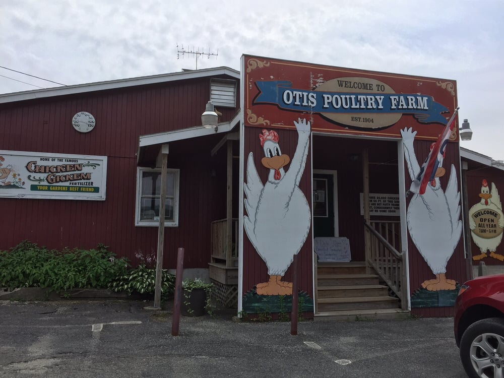 Otis Poultry Farm Store 20 Photos & 10 Reviews Grocery 1570 N