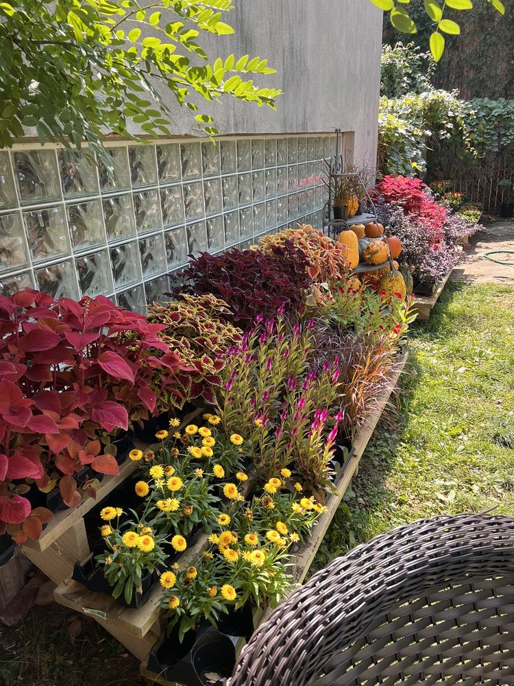 Foliage & Flora