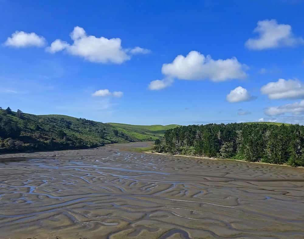 Point Reyes National Seashore 611 Photos Parks Point Reyes Station, CA Reviews Yelp