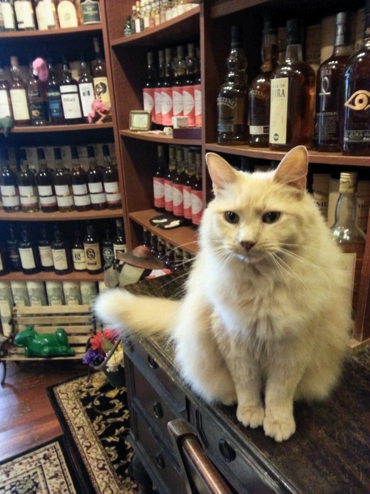 Toad Hall Classic Sports Car Collection Museums Hyannis, MA