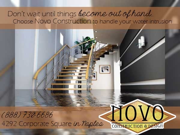 image of business Novo Construction