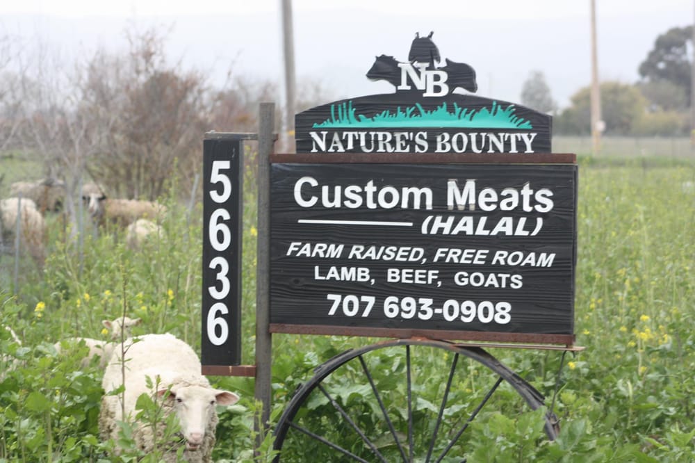Nature S Bounty Farm Vacaville Ca Nature S Bounty Farm Vacaville Ca