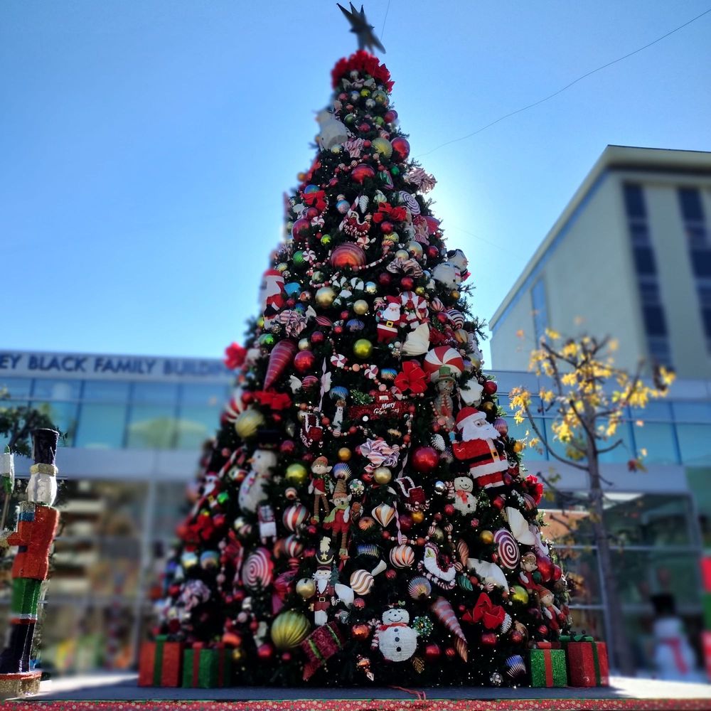 image of business Children