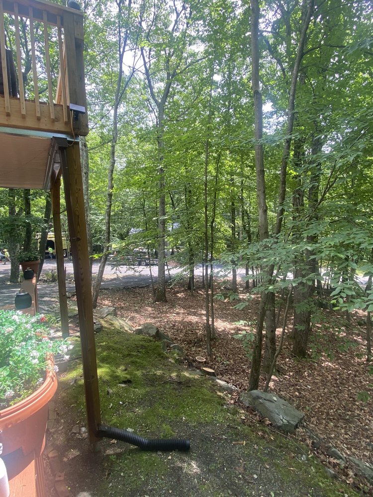 The Busy Beaver Tree Service & Excavation