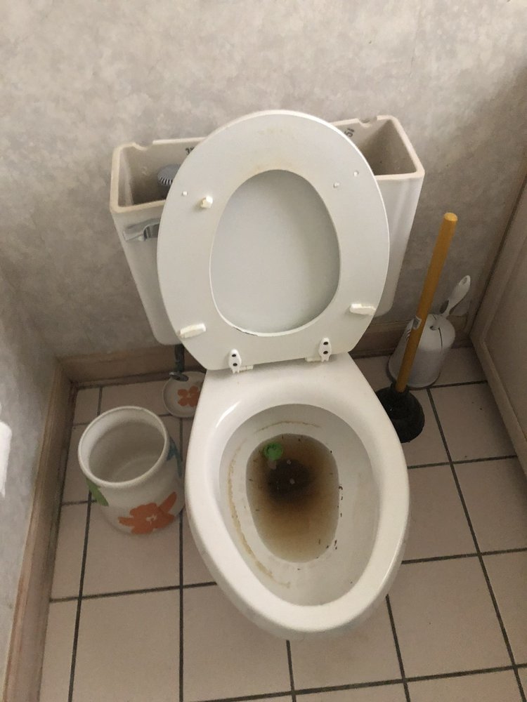 Vigilant Restoration