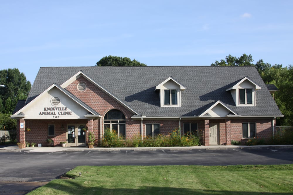 Knoxville Animal Clinic Veterinarians 5312 Homberg Dr, Knoxville