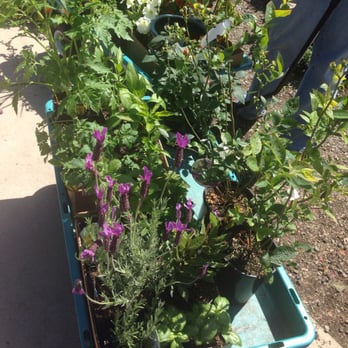 Garden Spot Nursery - 16 Photos & 11 Reviews - Nurseries & Gardening