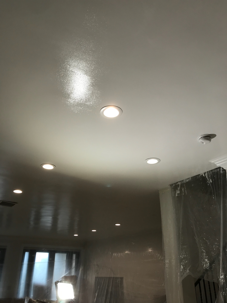 image of business Five Star Popcorn Removal