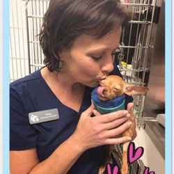 Southeast Veterinary Neurology - Boynton Beach - Get Quote ...