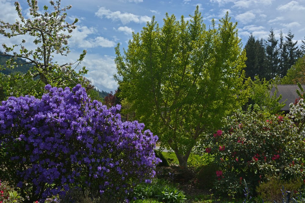Cloud Mountain Farm Center