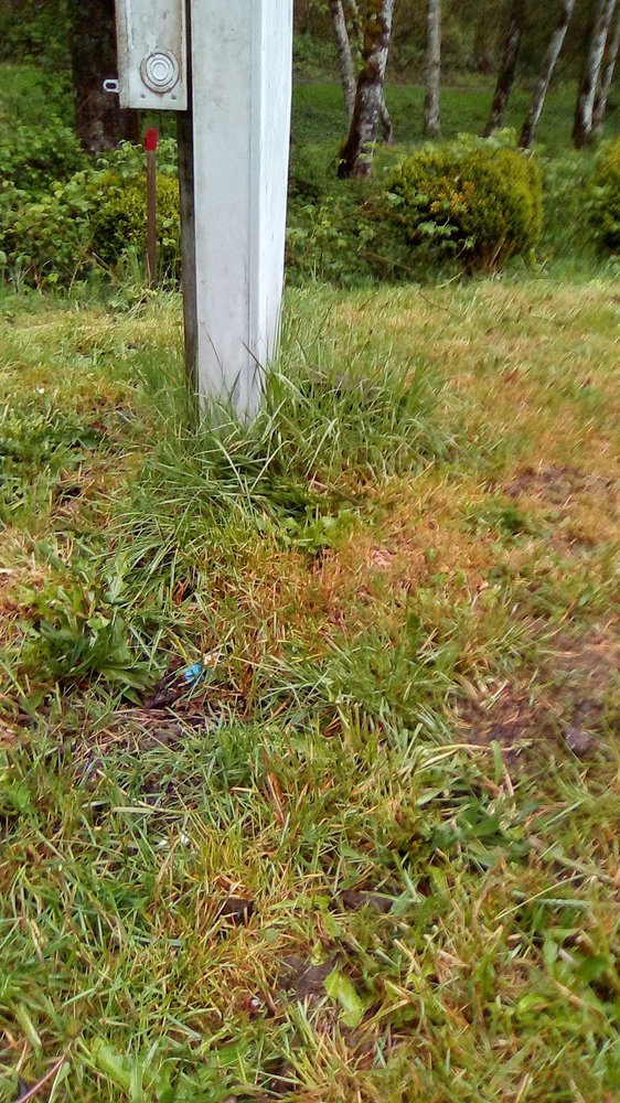 New Beginnings Landscaping