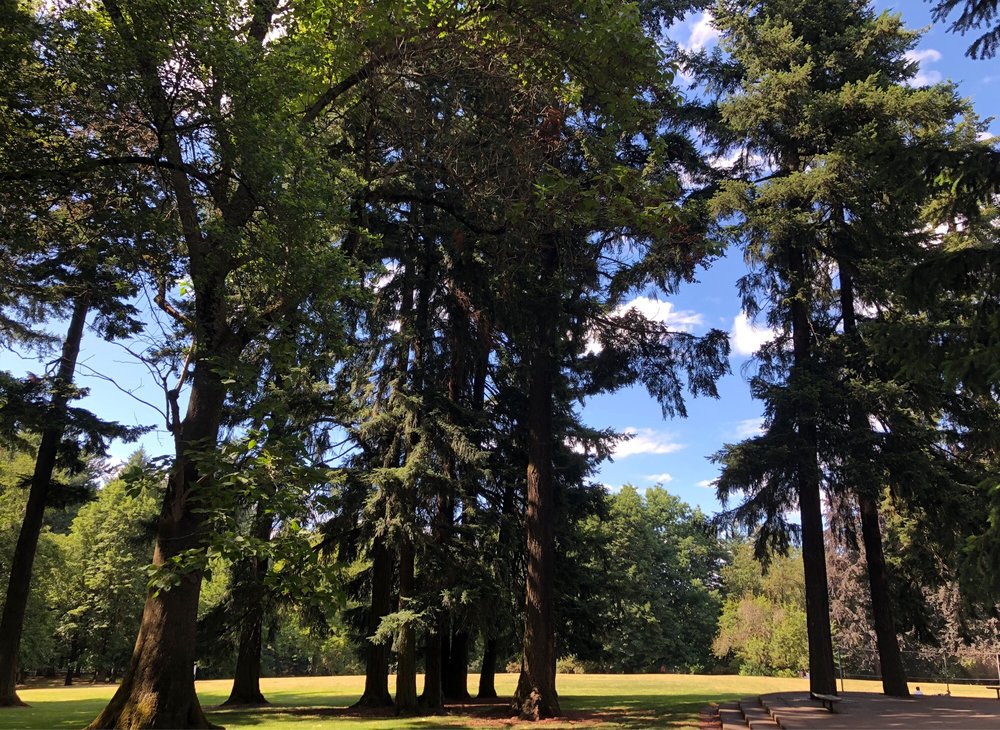 Woodstock Park 19 Reviews Dog Parks SE 47th Ave, Creston