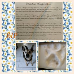 Access Woodland Hills >> Access Specialty Animal Hospital 105 Photos 477 Reviews Access Woodland Hills >> Access Specialty Animal Hospital 105 Photos 477 Reviews