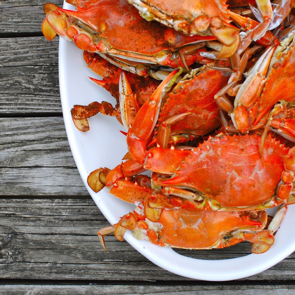 Captain Crab Closed 25 Photos 22 Reviews Seafood 815 E Captain Crab Closed 25 Photos 22 Reviews Seafood 815 E Market St Harrisonburg Va Restaurant Phone Number Last Updated December 16