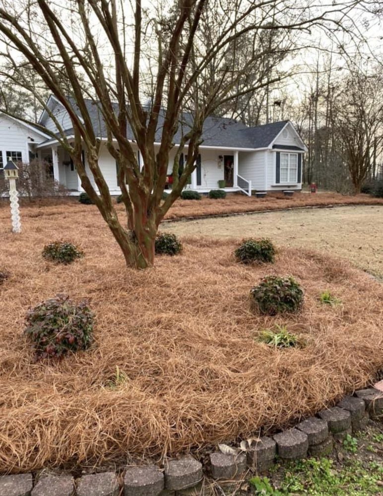 Rico Landscaping and Maintenance