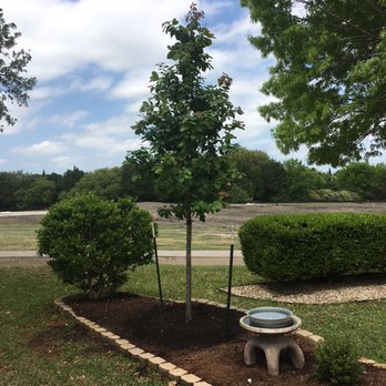 Ted S Landscaping Services Tree Nursery 27 Photos 33 Reviews Photo Of Ted S Landscaping Services Tree Nursery Austin Tx United States
