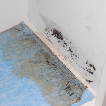 Mold In Bathroom Linen Closet tarzana springs - 30 photos - apartments - 5825 reseda blvd Mold In Bathroom Linen Closet tarzana springs - 30 photos - apartments - 5825 reseda blvd