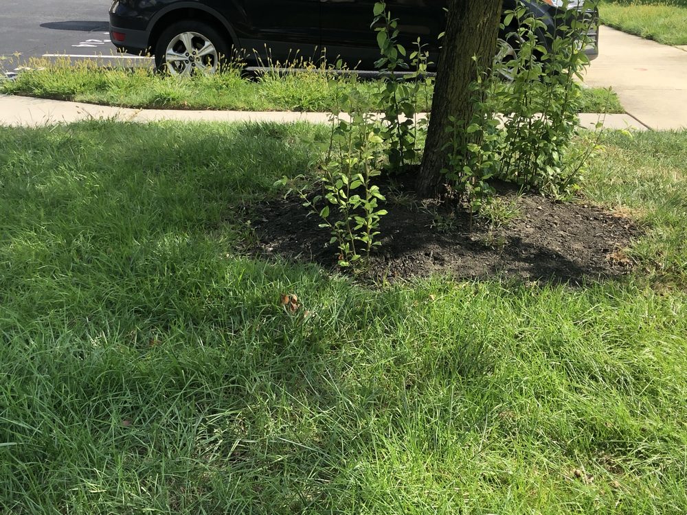 Premier Lawn Care