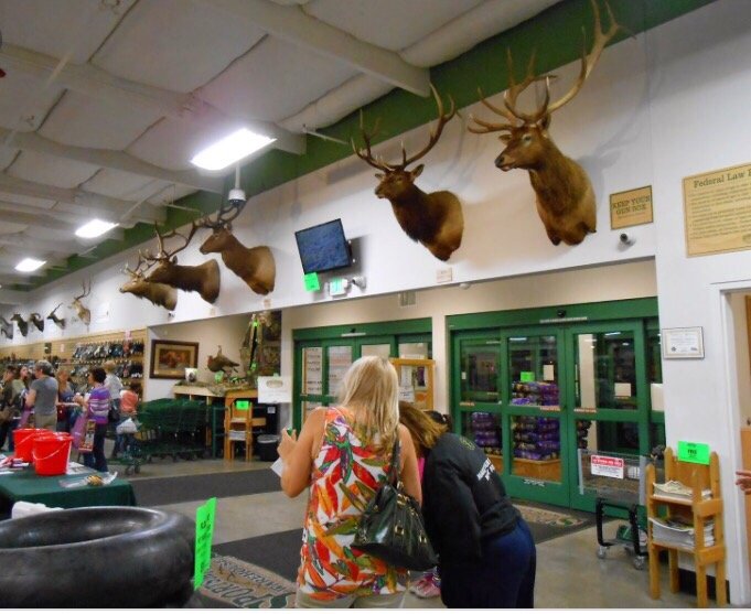 Sportsman’s Warehouse 28 Reviews Outdoor Gear 1659 Hilltop Dr