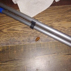 Magic Pest Control 28 Reviews 700 N Magic Pest Control 28 Reviews 700 N