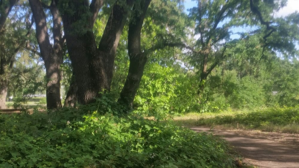 Natomas Oaks Park 13 Photos Parks River Plz, Natomas, Sacramento