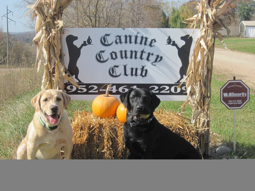 Canine Country Club Pet Boarding/Pet Sitting 4880 E 250th St Elko