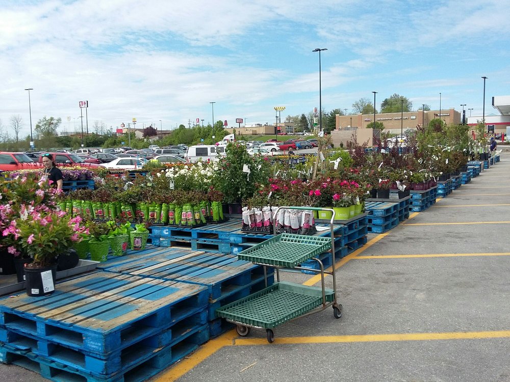 Walmart Supercenter 14 Photos Department Stores 20 Ferguson Blvd