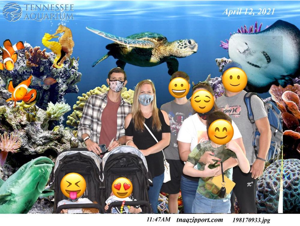 Family Formation