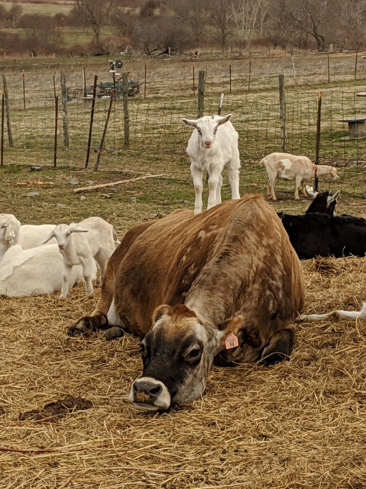 Simmon's Farm