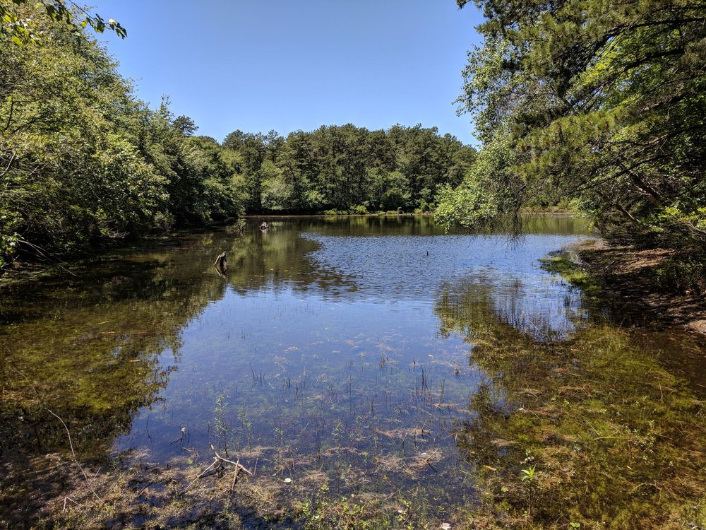 Quogue Wildlife Refuge 97 Photos & 21 Reviews Parks 3 Old Country Rd, Quogue, NY Phone