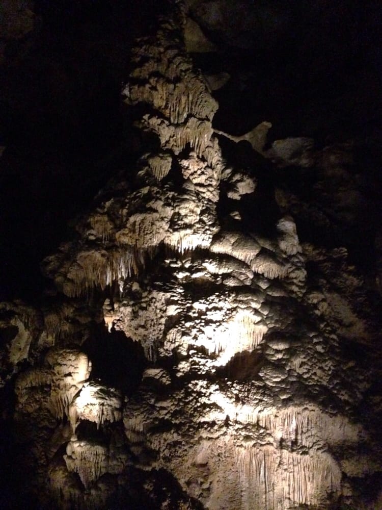 Carlsbad Caverns Bat Flight Program 19 Photos & 14 Reviews Local